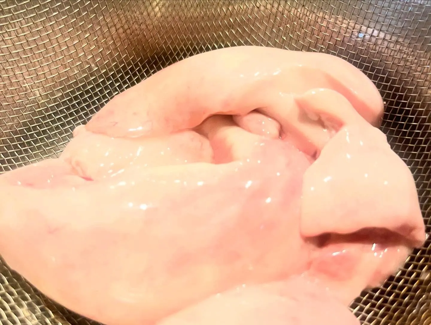 本日鬼髭(別名つくし)といわれる市場に滅多に流通しない非常に...