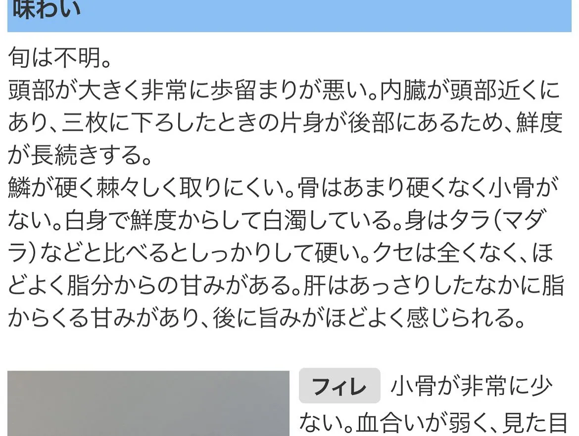 本日鬼髭(別名つくし)といわれる市場に滅多に流通しない非常に...
