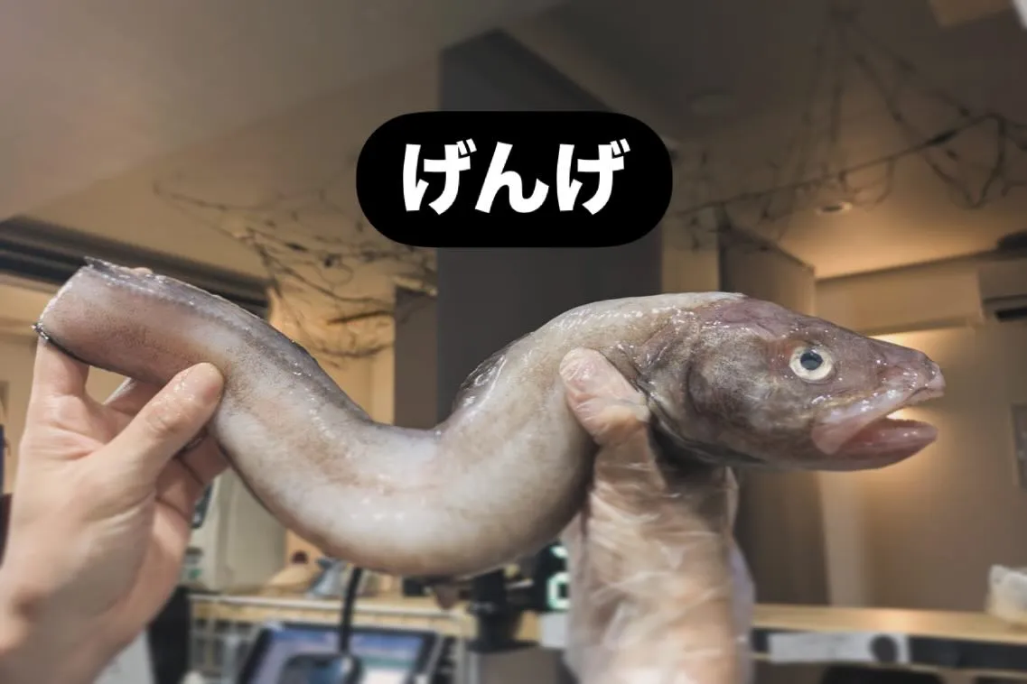 口の中で溶けてなくなる程の身の柔らかさが特徴の市場にあまり流...