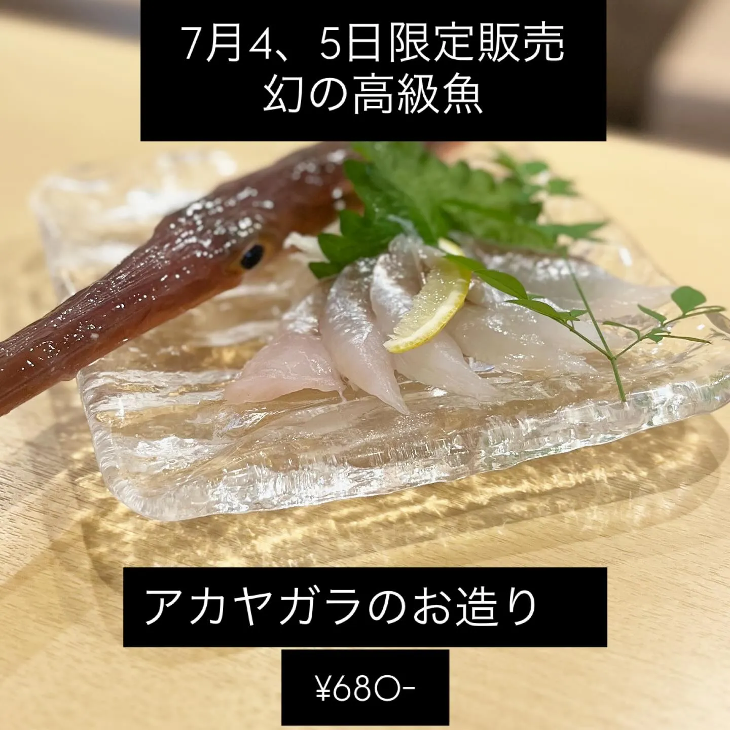 新店舗に移転してから初の入荷になった約1年ぶりの稀少なお魚、...