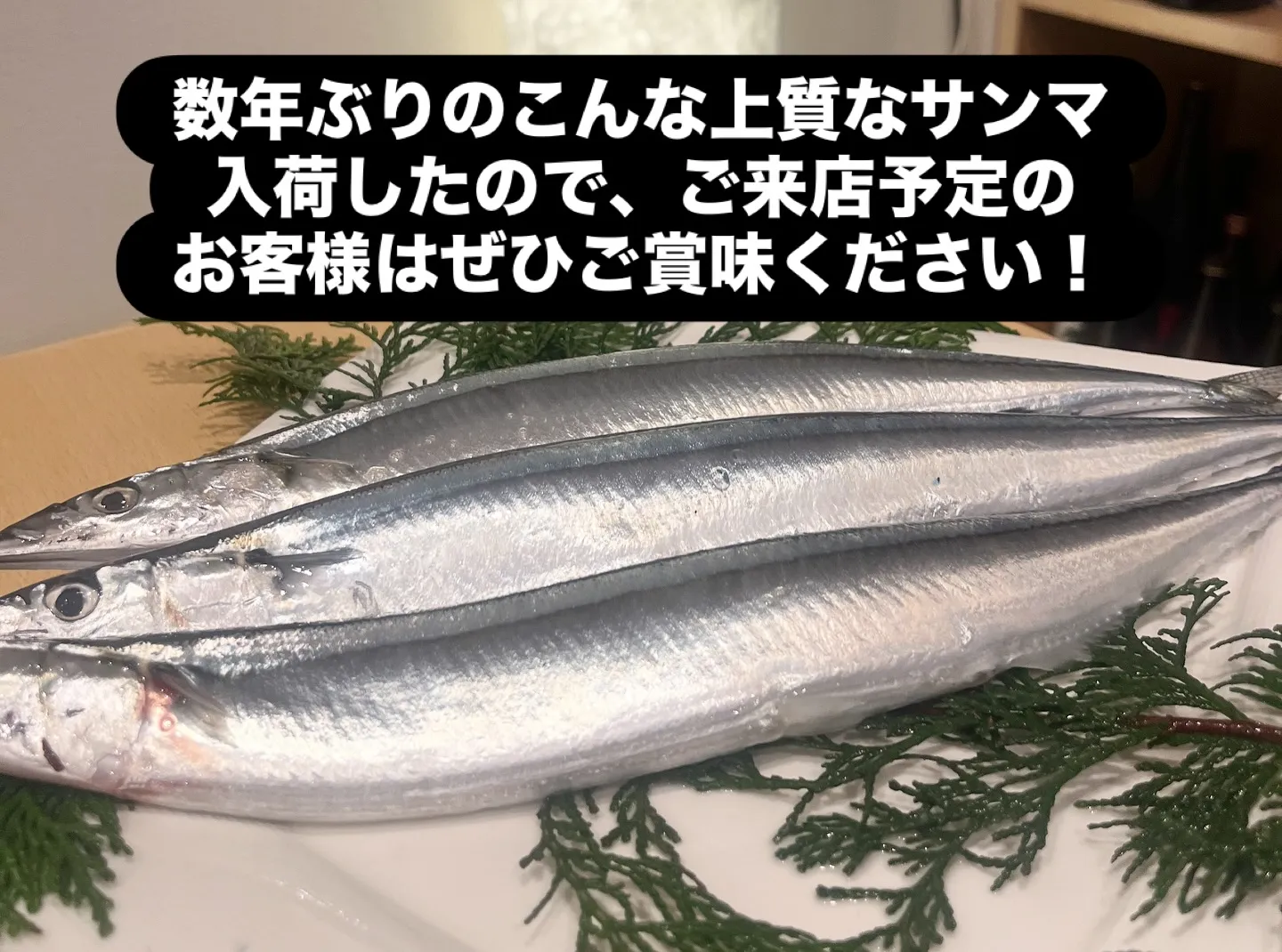 🔥宴会・飲み会におすすめ🔥