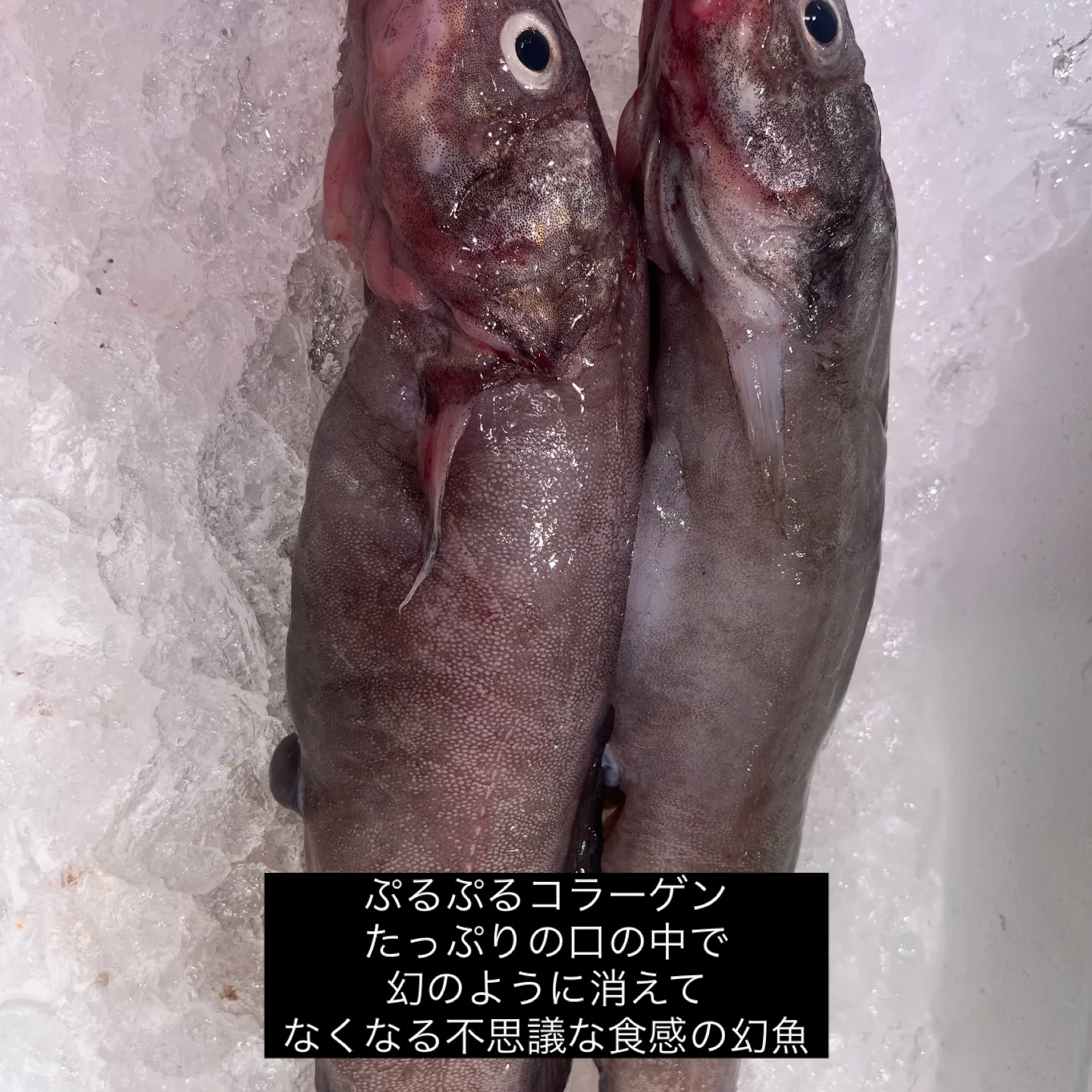 幻魚(げんげ)の唐揚げ|¥690-