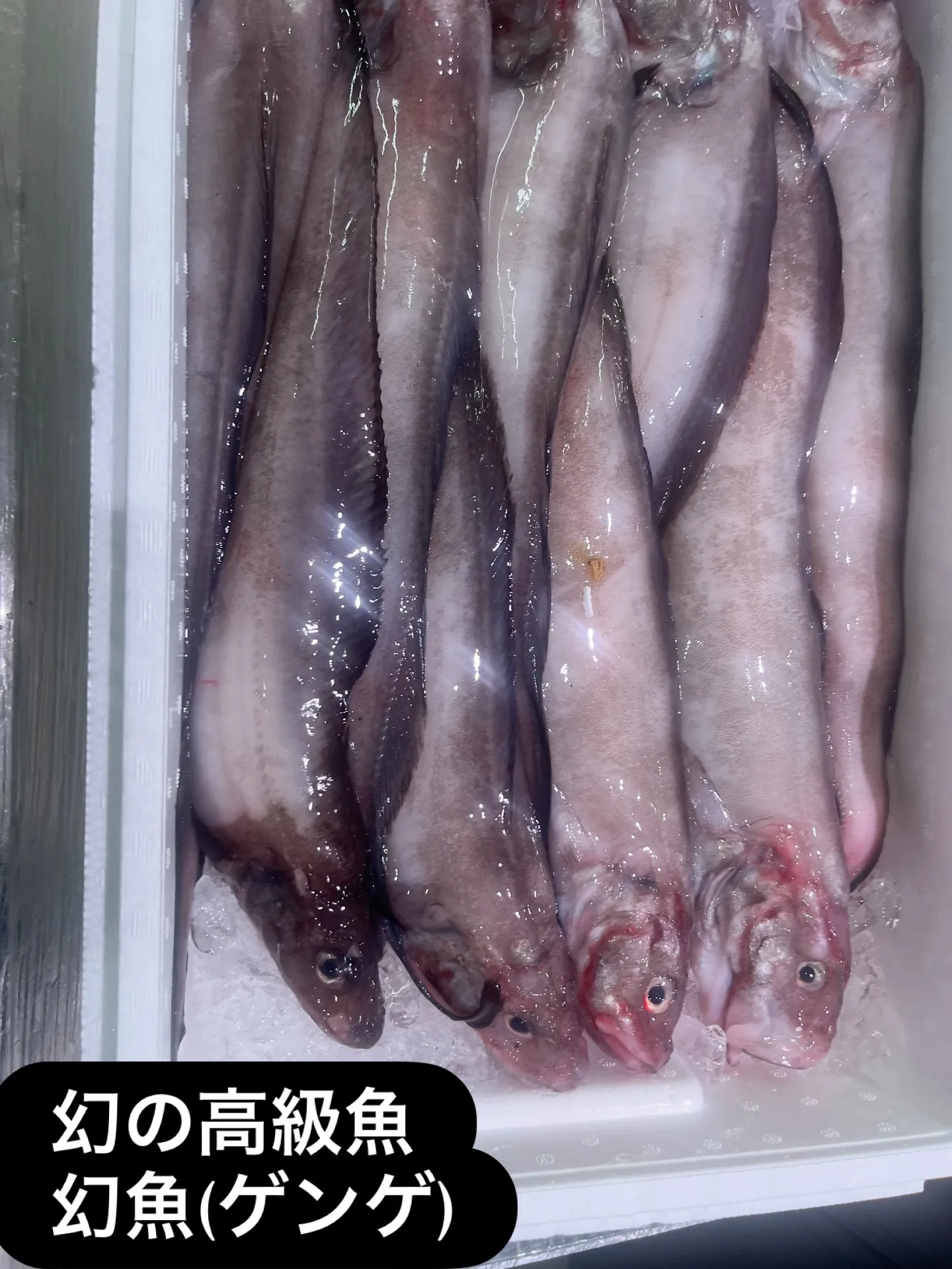 1枚目　3枚目　炙り鴨出汁沖縄そば　¥680-