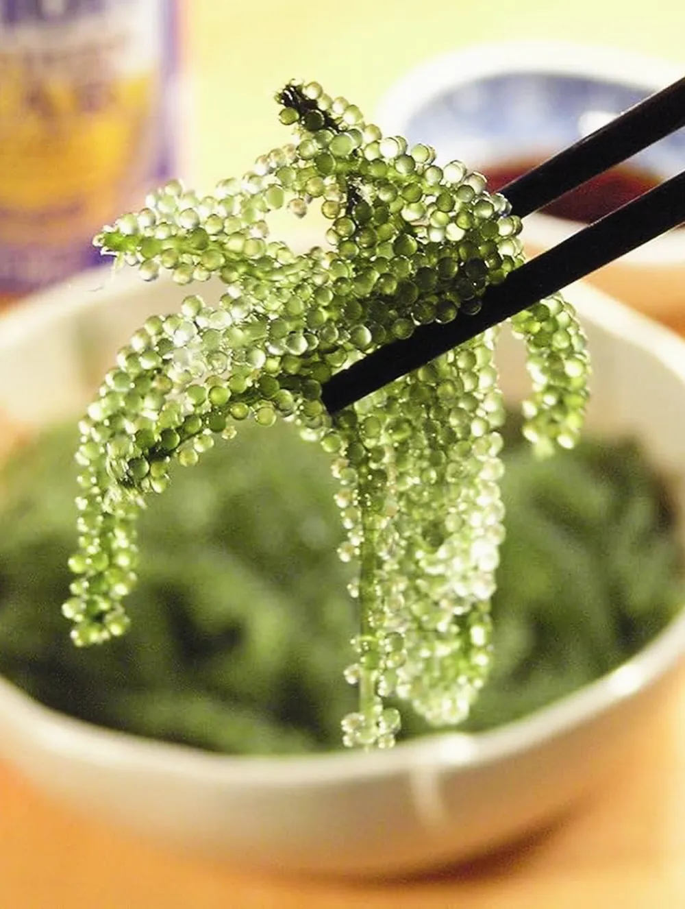 昨日のランチの臨時営業でご提供した